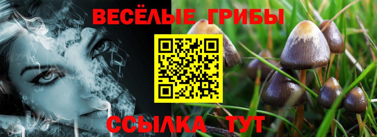 Галлюциногенные грибы ЛСД Новочебоксарск